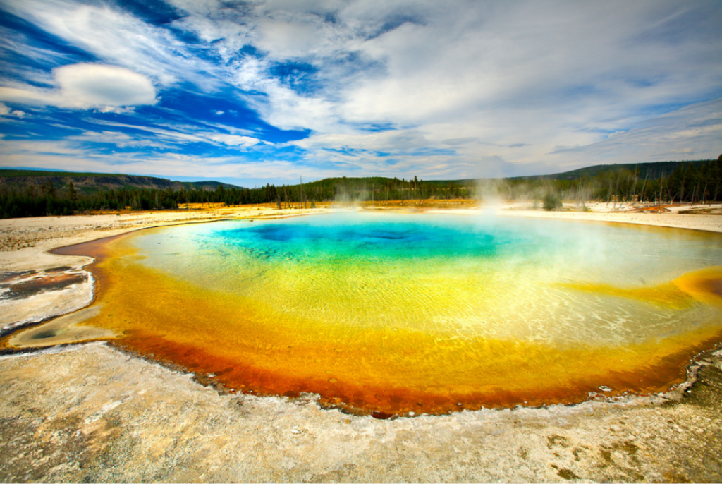 hot spring in yellowstone national park