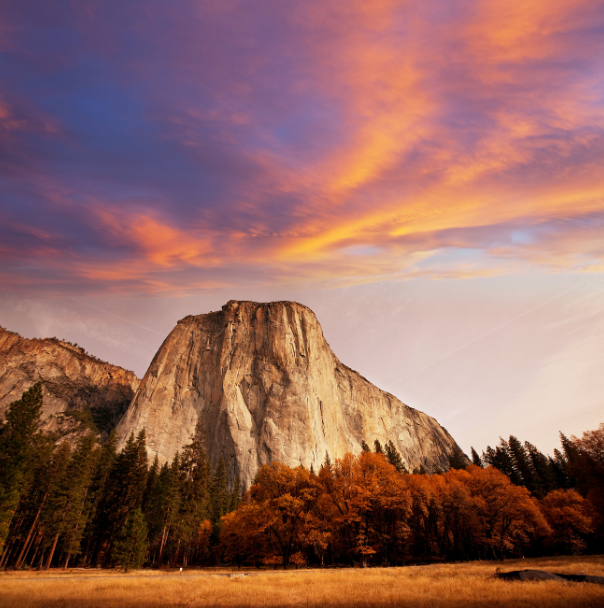 mountain with valley and trees in front